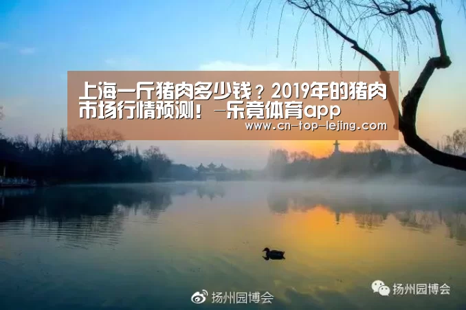 乐竟app