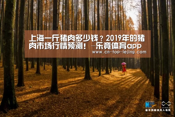 乐竟体育官网