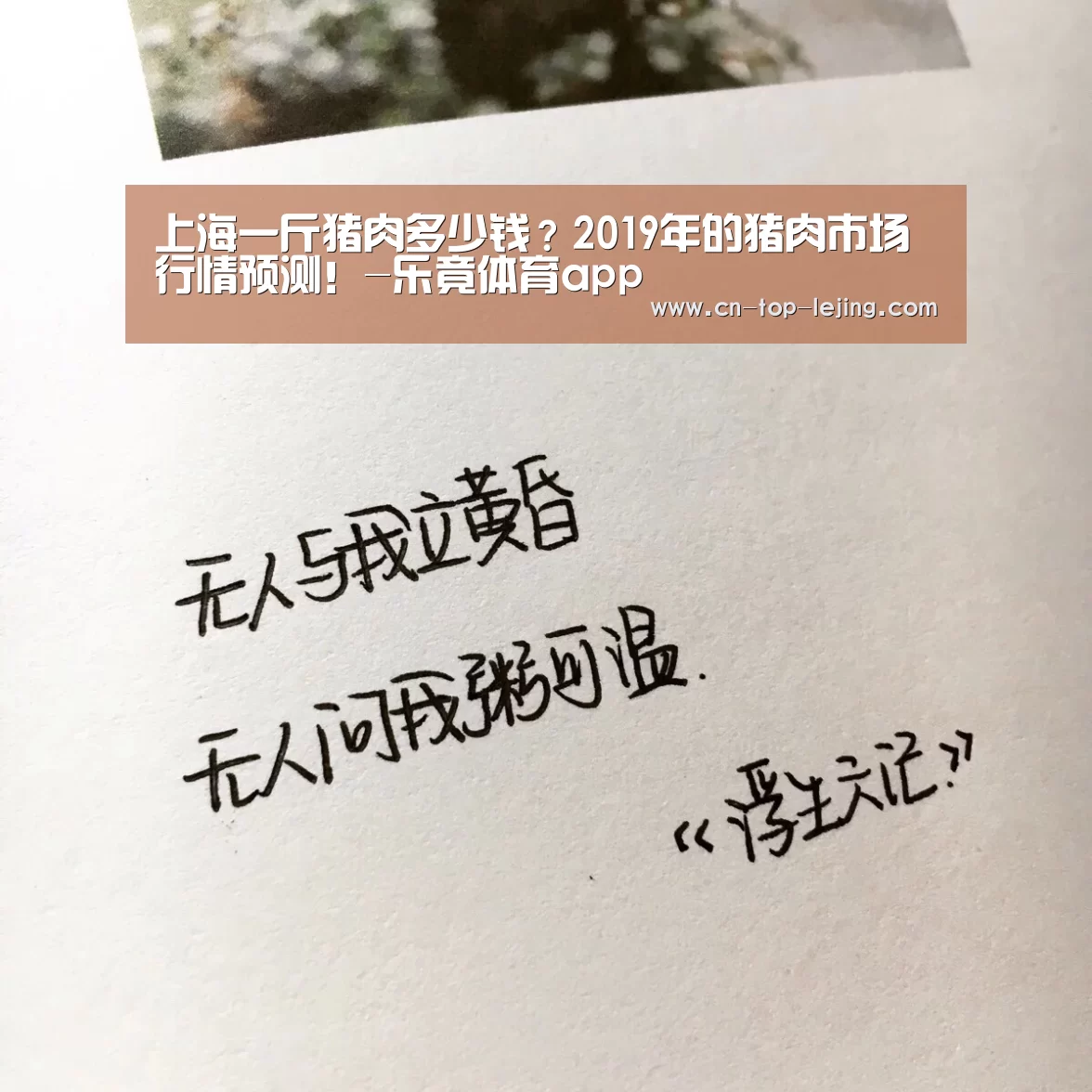 乐竟app
