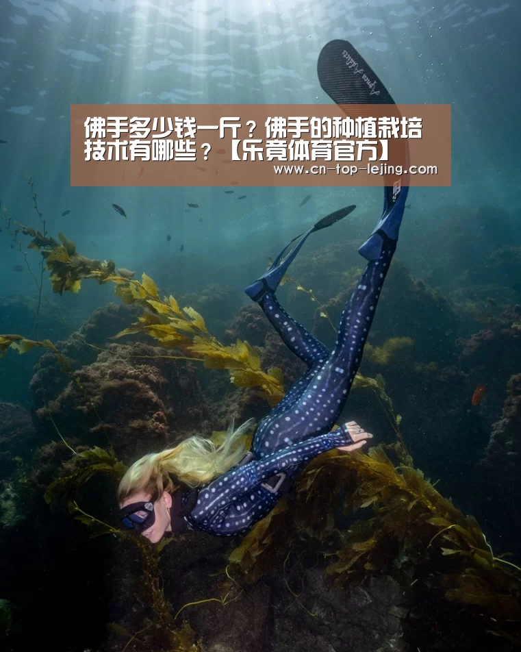 佛手多少钱一斤?佛手的种植栽培技术有哪些?【乐竟体育官方】(图2) 乐竟体育官网