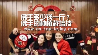 佛手多少钱一斤?佛手的种植栽培技术有哪些?【乐竟体育官方】(图1) 乐竟体育官网