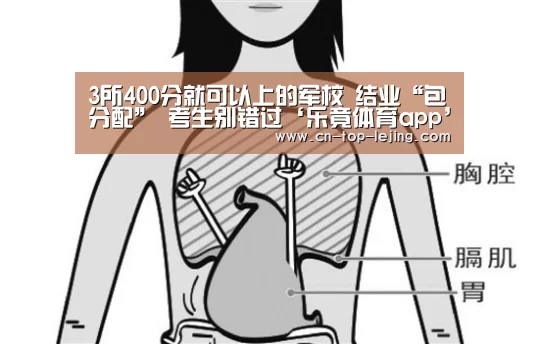 乐竟体育官网