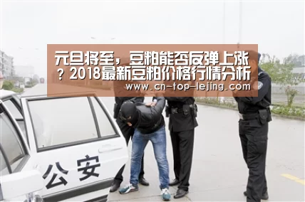 元旦将至,豆粕能否反弹上涨?2018最新豆粕价格行情分析|乐竟体育官方(图2) 乐竟体育app