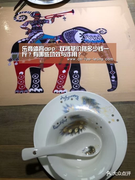 乐竟体育官方