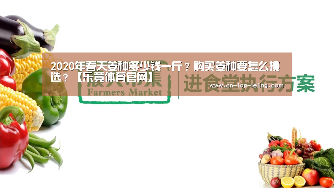 乐竟体育官网