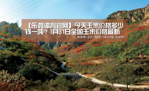 【乐竟体育官网】今天玉米价格多少钱一吨?1月31日全国玉米价格最新行情(图3) 乐竟体育app