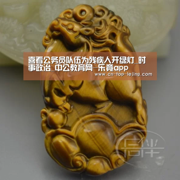 喜看公务员队伍为残疾人开绿灯_时事政治_中公教育网-乐竟app(图1) 乐竟app