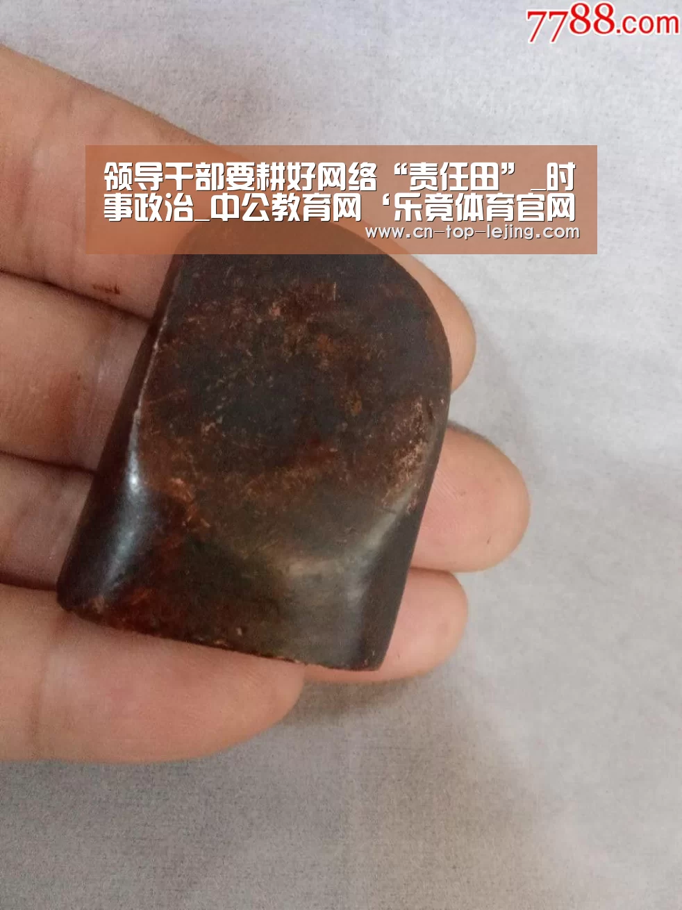 领导干部要耕好网络“责任田”_时事政治_中公教育网‘乐竟体育官网’(图4) 乐竟体育app