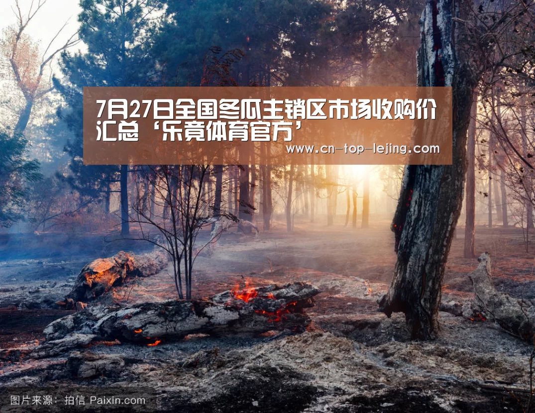 7月27日全国冬瓜主销区市场收购价汇总‘乐竟体育官方’(图1) 乐竟体育官方