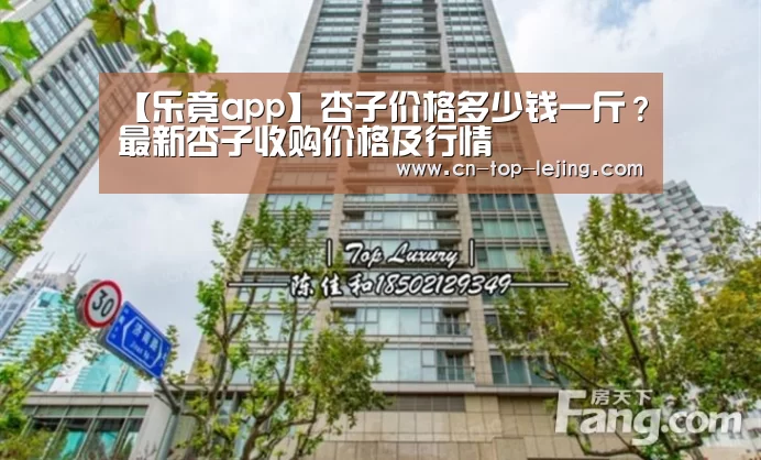 【乐竟app】杏子价格多少钱一斤?最新杏子收购价格及行情(图4) 乐竟体育官方