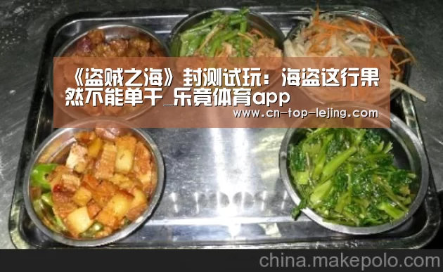 《盗贼之海》封测试玩:海盗这行果然不能单干_乐竟体育app(图3) 乐竟体育官网