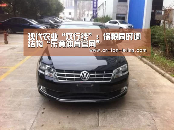 现代农业“双行线”:保粮同时调结构“乐竟体育官网”(图1) 乐竟体育官方