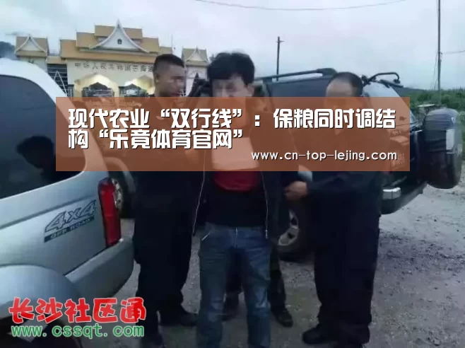 现代农业“双行线”:保粮同时调结构“乐竟体育官网”(图3) 乐竟体育app